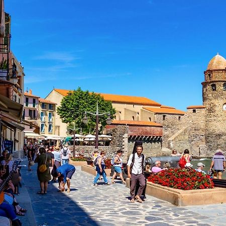 Petit Nid Catalan , 10 Minutes Des Plages ペルピニャン エクステリア 写真
