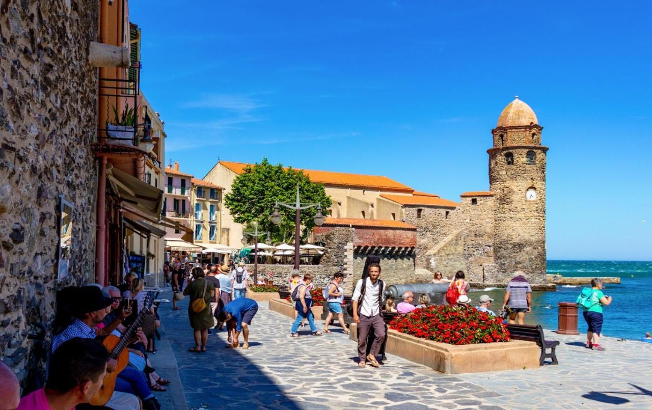 Petit Nid Catalan , 10 Minutes Des Plages ペルピニャン エクステリア 写真